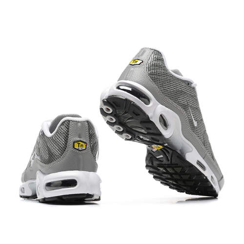Air Max Plus TN 1 "Flat Pewter"